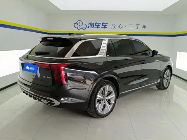 Hongqi E-HS9 — Фото автомобиля 3