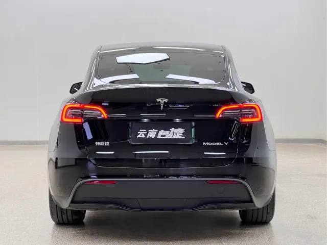 Tesla Model Y — Фото автомобиля 6