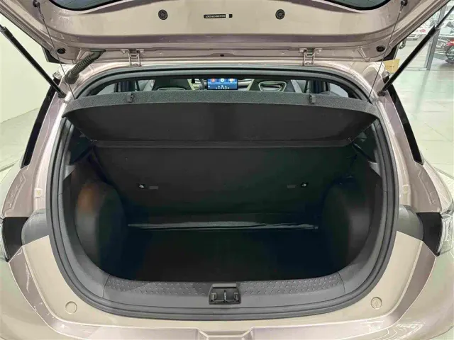 BYD Dolphin — Фото автомобиля 22