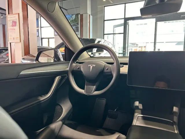 Tesla Model Y — Фото автомобиля 21