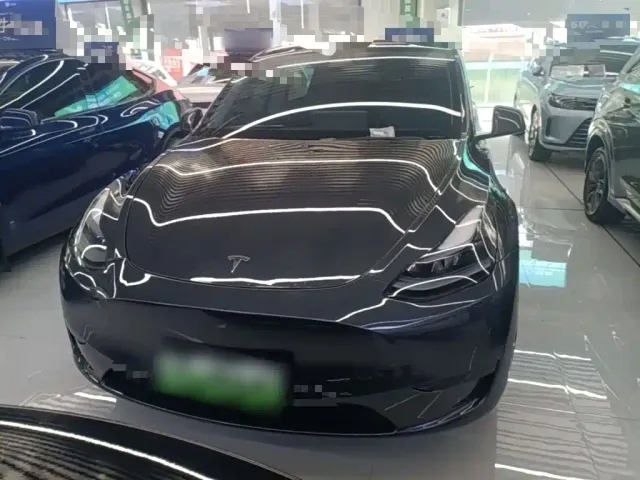 Tesla Model Y — Фото автомобиля 2