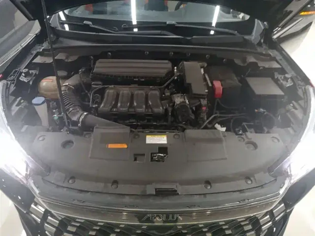 Dongfeng Yixuan GS — Фото автомобиля 9
