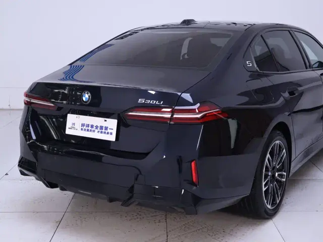BMW 5 Series — Фото автомобиля 8
