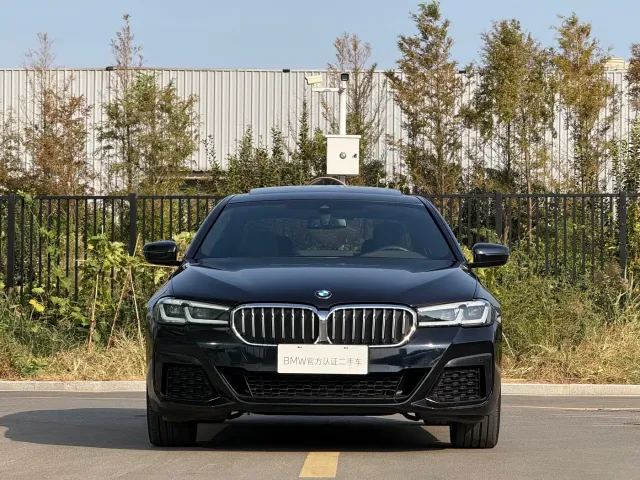 BMW 5 Series — Фото автомобиля 19