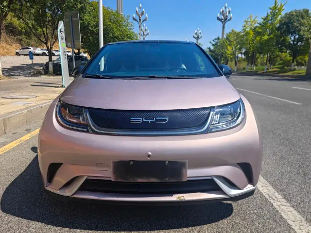 BYD Dolphin — Фото автомобиля 2