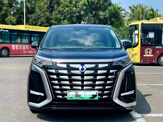 Denza D9 — Фото автомобиля 2