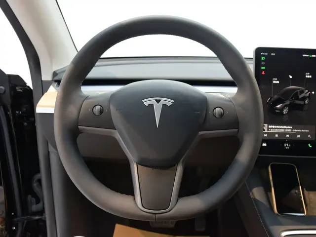 Tesla Model Y — Фото автомобиля 9