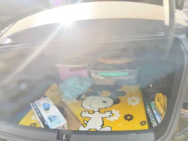 BYD Destroyer 05 — Фото автомобиля 13