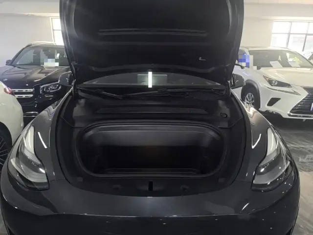 Tesla Model Y — Фото автомобиля 19