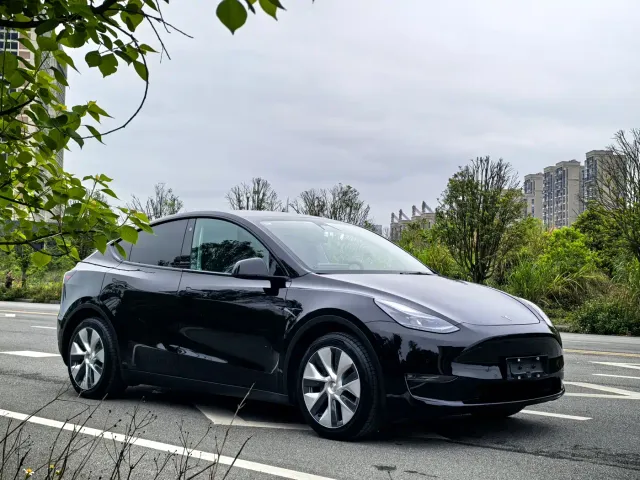 Tesla Model Y — Фото автомобиля 3