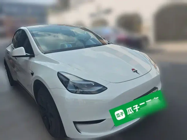 Tesla Model Y — Фото автомобиля 3