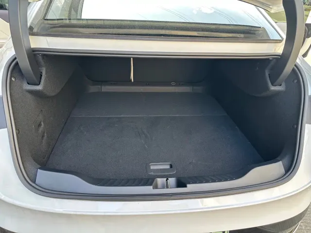Buick Electra L7 — Фото автомобиля 12