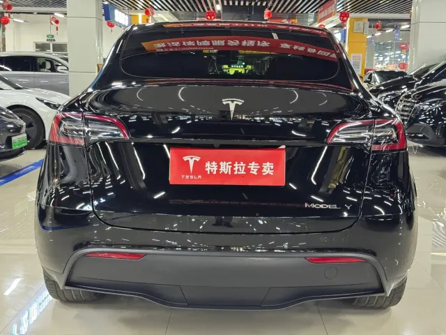 Tesla Model Y — Фото автомобиля 8