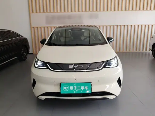 BYD Dolphin — Фото автомобиля 2