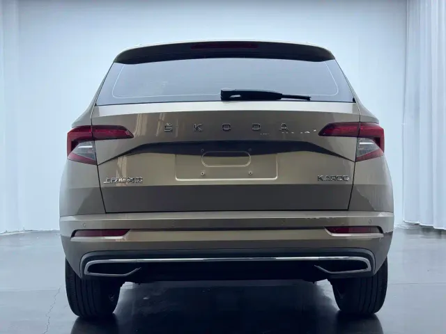Skoda Karoq — Фото автомобиля 6