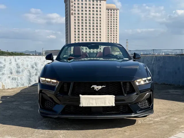 Ford Mustang — Фото автомобиля 10
