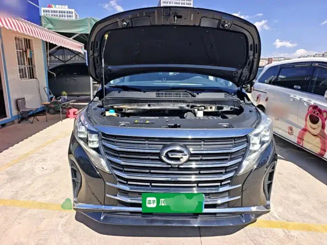 GAC Trumpchi M8 — Фото автомобиля 19