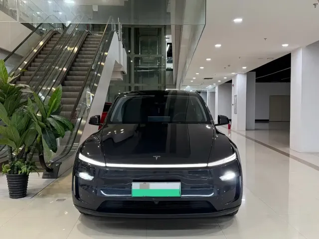 Tesla Model Y — Фото автомобиля 2