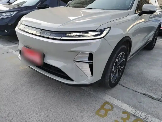 Haval Xiaolong MAX — Фото автомобиля 23