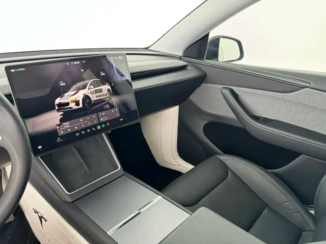 Tesla Model Y — Фото автомобиля 11