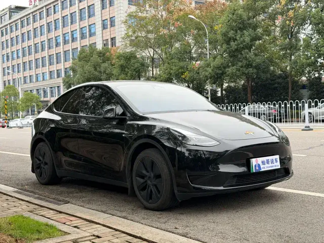 Tesla Model Y — Фото автомобиля 3
