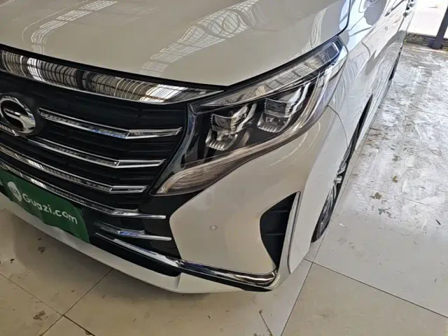 GAC Trumpchi M8 — Фото автомобиля 23