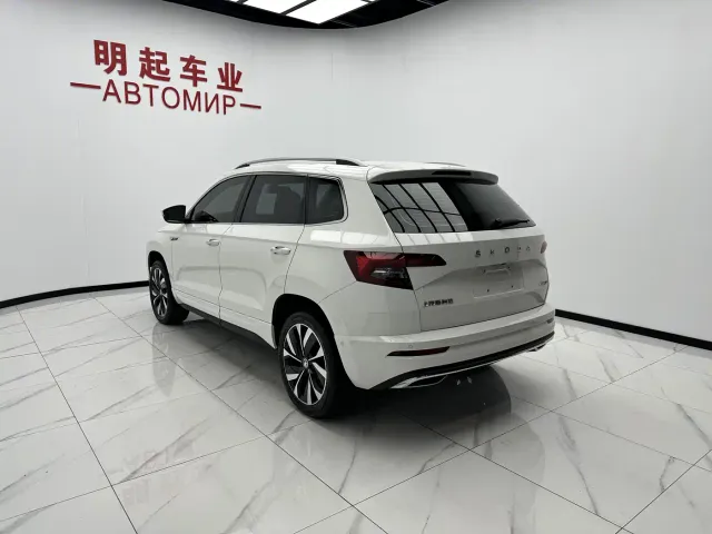 Skoda Karoq — Фото автомобиля 8