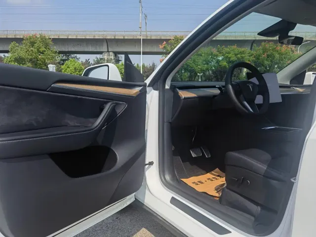 Tesla Model Y — Фото автомобиля 10