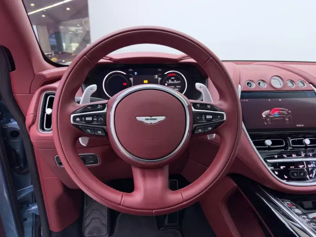 Aston Martin DBX — Фото автомобиля 17