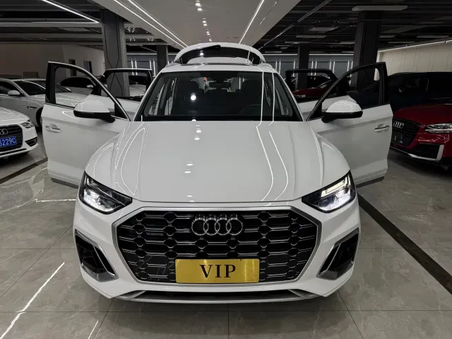 Audi Q5L — Фото автомобиля 18