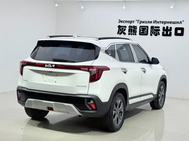 Kia Seltos — Фото автомобиля 6