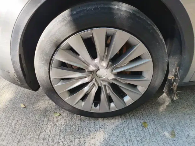 Tesla Model Y — Фото автомобиля 22