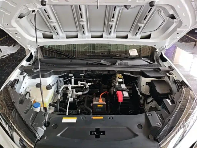 Dongfeng SKY EV01 — Фото автомобиля 15