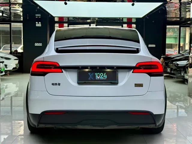 Tesla Model X — Фото автомобиля 16