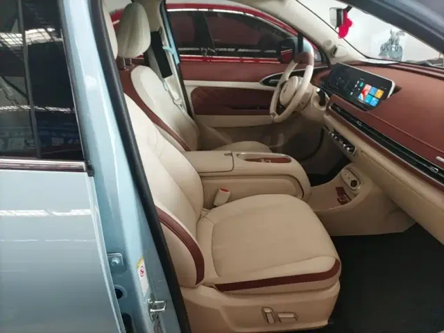 Ora Ora Good Cat 2023 401km Standard Range Premium LFP — Фото автомобиля 24