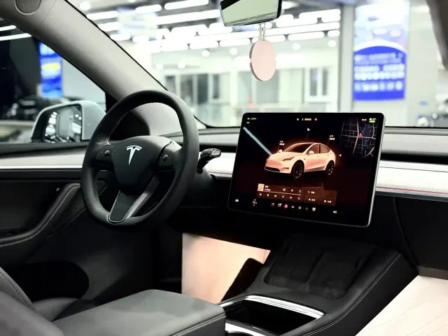 Tesla Model Y — Фото автомобиля 12
