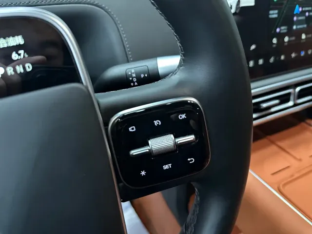 Li Auto L9 — Фото автомобиля 7