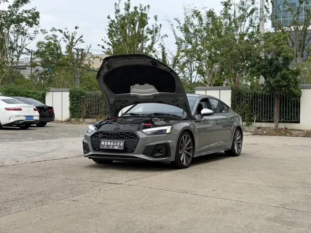 Фотография автомобиля — Audi S5
