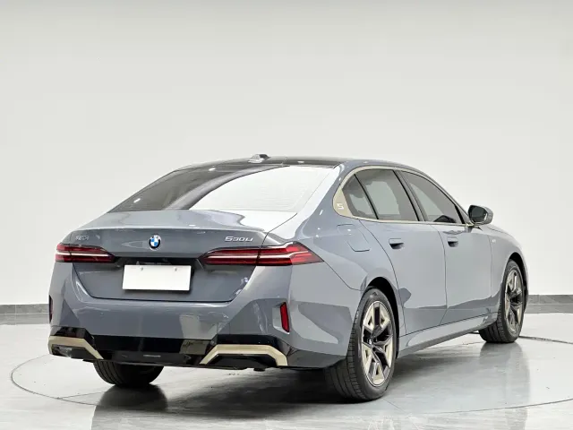 BMW 5 Series — Фото автомобиля 5