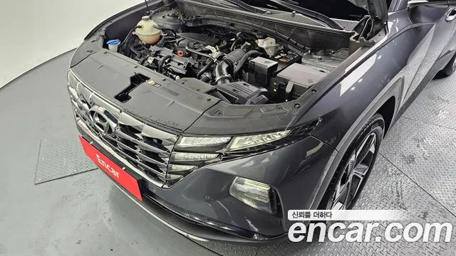 Hyundai Tucson Tucson (NX4) Бензин 1.6 турбо 2WD — Фото автомобиля 6