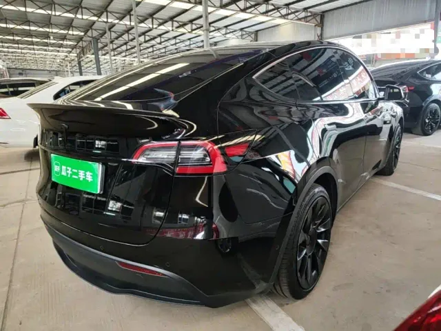 Tesla Model Y — Фото автомобиля 6