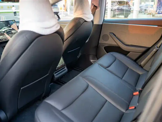Tesla Model 3 — Фото автомобиля 12