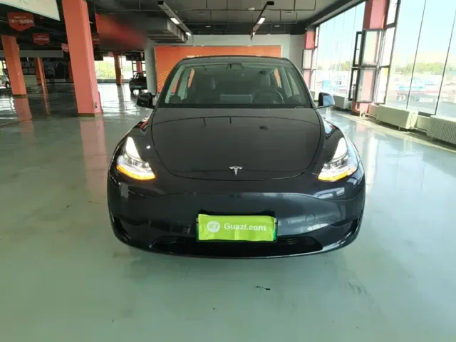 Tesla Model Y — Фото автомобиля 2
