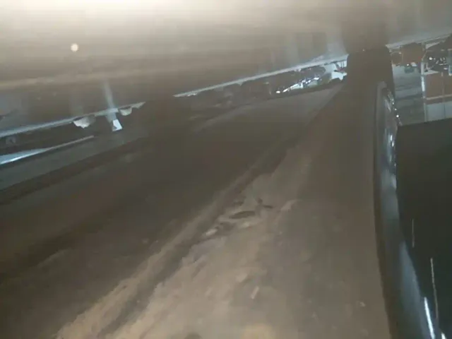 Tesla Model 3 — Фото автомобиля 20