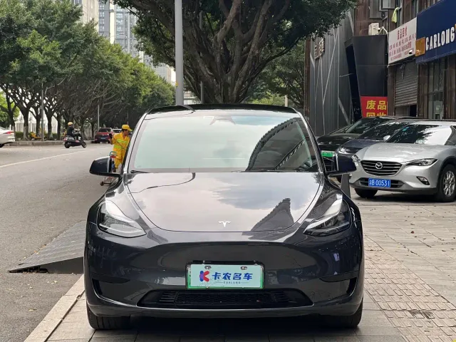 Tesla Model Y — Фото автомобиля 2