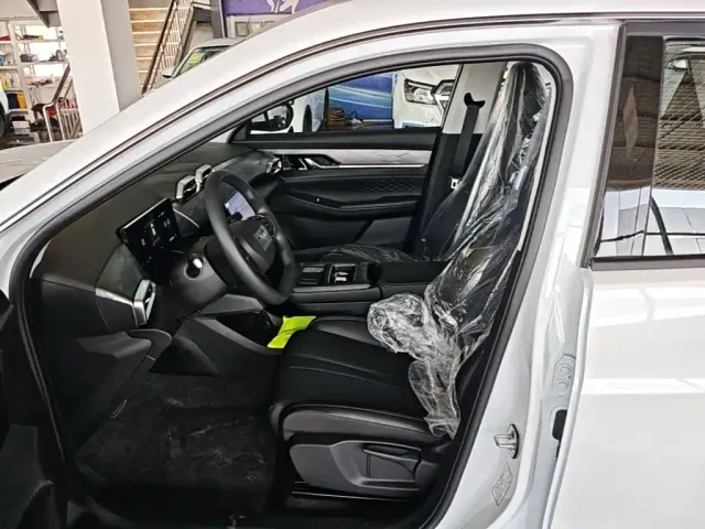 Dongfeng SKY EV01 — Фото автомобиля 10