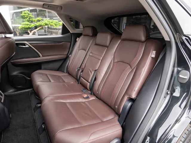 Lexus RX — Фото автомобиля 12