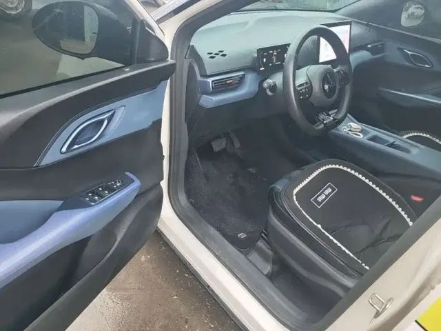 BYD Seagull 2024 Glory Edition 305km Vitality Edition — Фото автомобиля 15