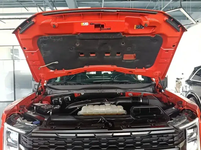 Ford F-150 Raptor — Фото автомобиля 19