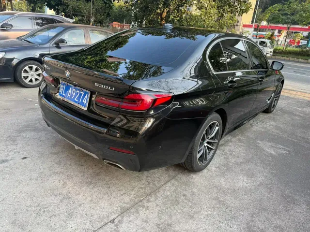 BMW 5 Series — Фото автомобиля 8